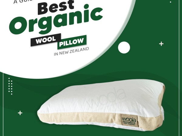 A Guide To Choosing The Best Organic Wool Pillow in New&nbsp;Zealand